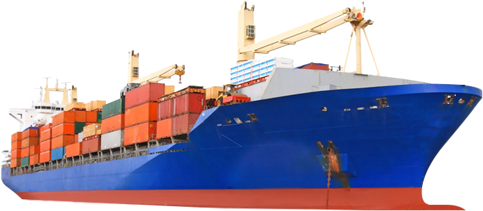 navio 11